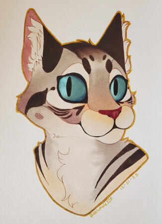 Page Headshot